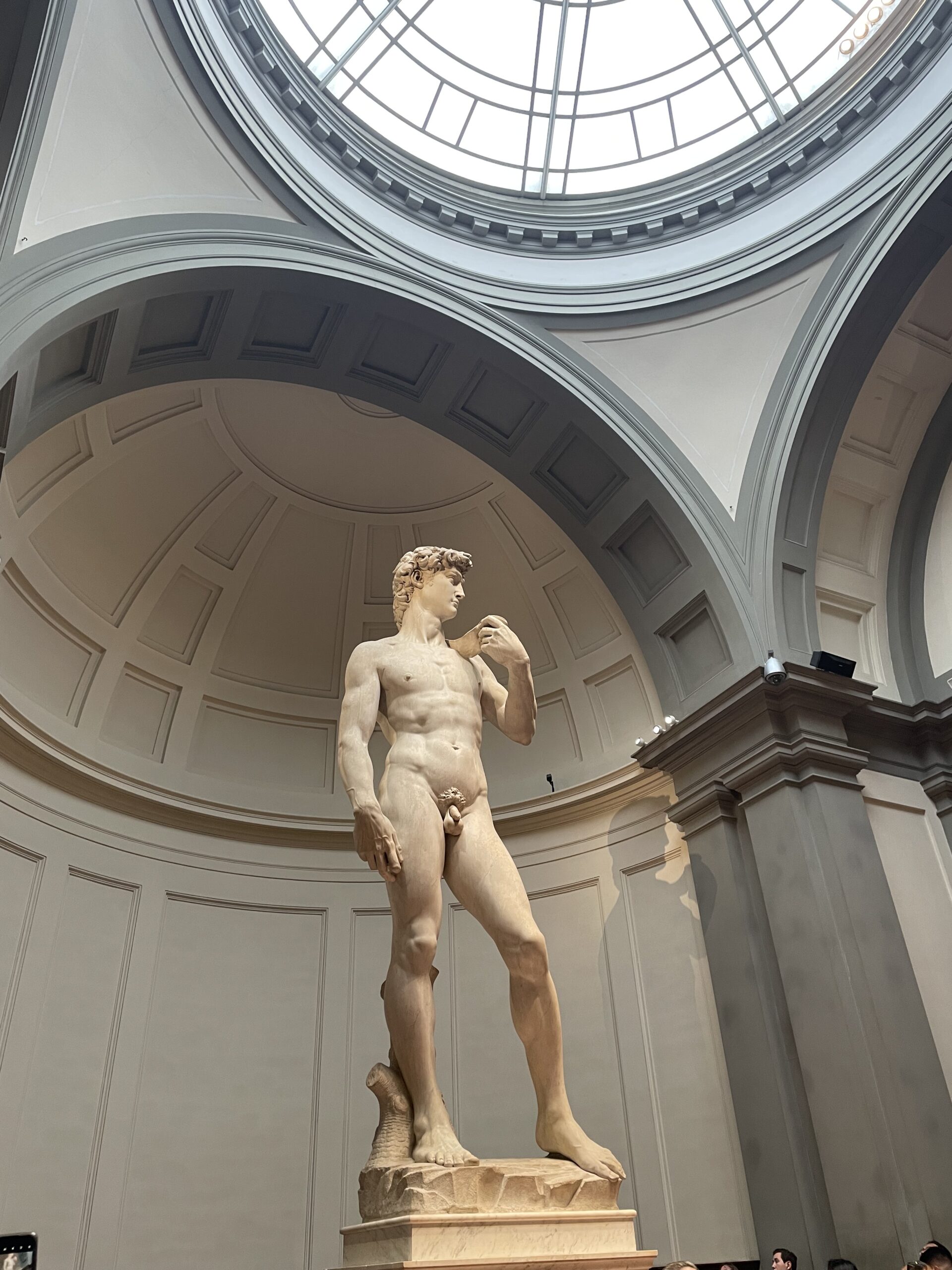 how to see the Statue of David