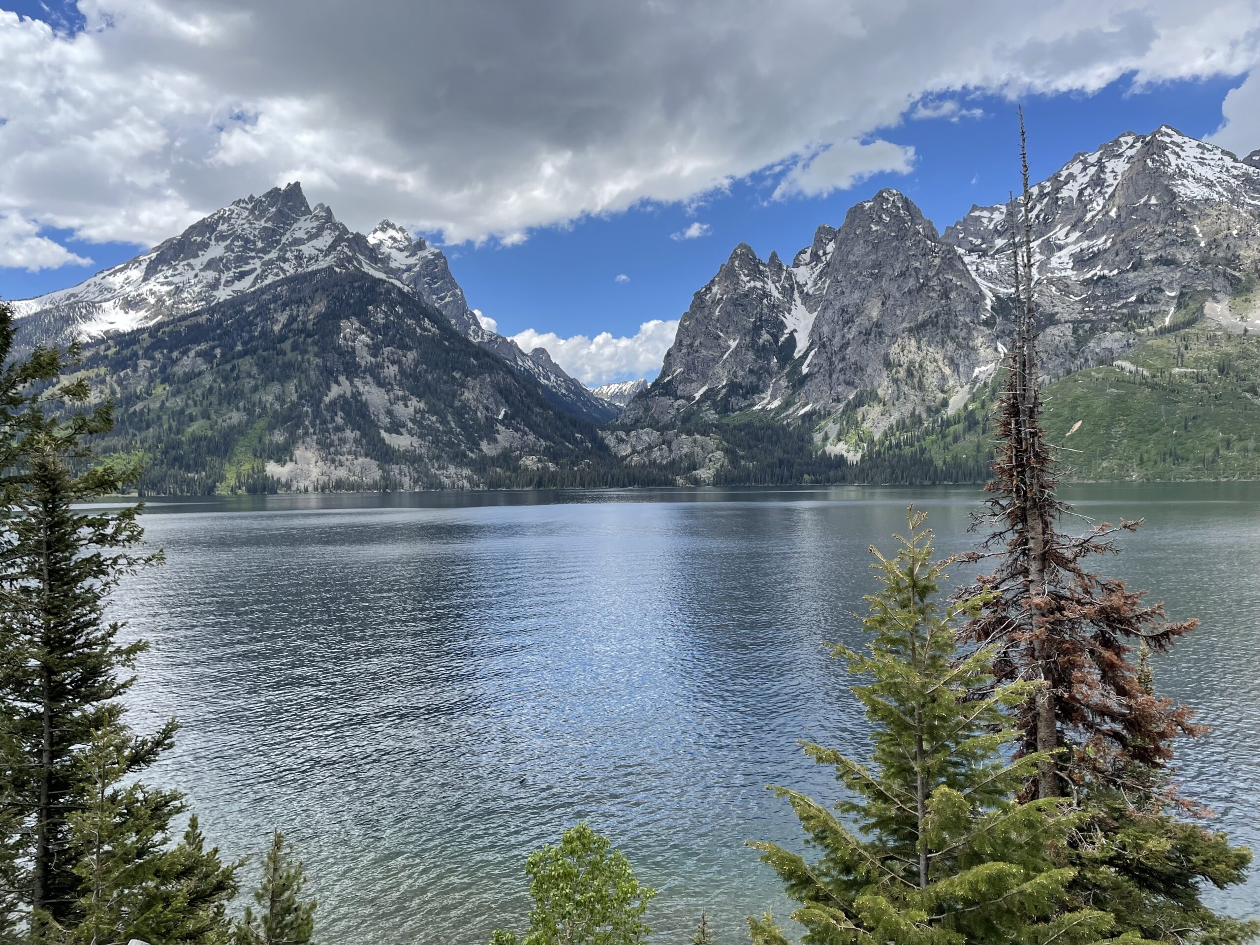 See Jenny Lake