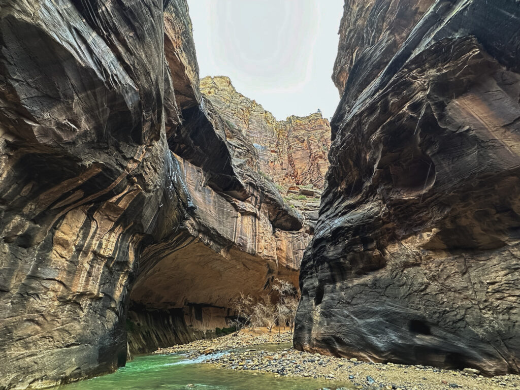 The Narrows - Zion National Park