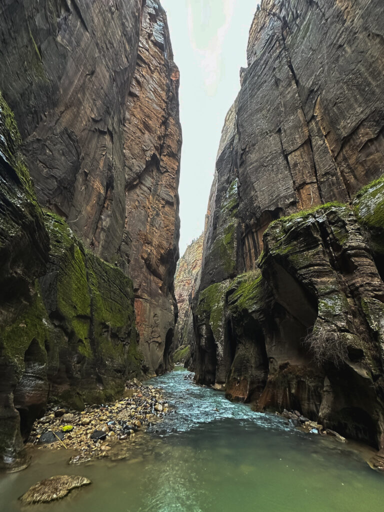 The Narrows - Zion National Park